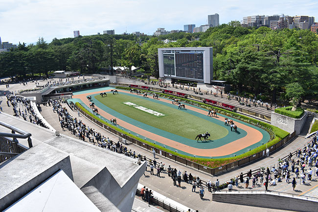 東京競馬場